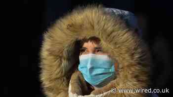 We asked Covid experts what this winter will be like