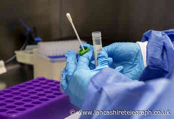 Over 40,000 could have been given wrong PCR test result after 'errors' in lab