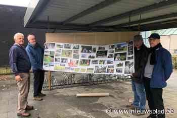 Fotografen gaan 24 uur op pad in eigen dorp