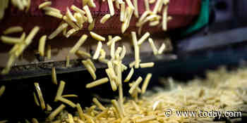 New FDA guidance aims to drastically cut salt in food supply