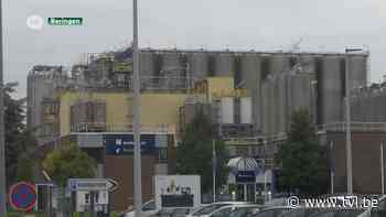 Zuhal Demir en leerlingen bezoeken Borealis in Beringen - TV Limburg