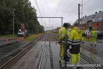 Bovenleiding spoorwegovergang afgereden: treinverkeer stilgelegd<BR />