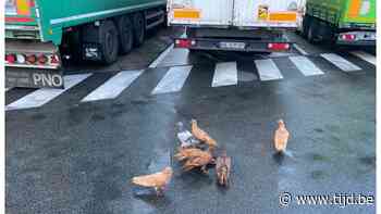 Nergens zonder weg in Nazareth - De Tijd
