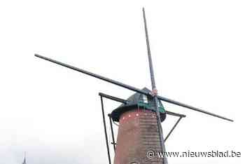 Erfgoedpremie van ruim 51.000 euro voor herstel molen na stormschade