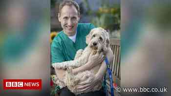 East Lancashire NHS therapy dog given award for work during Covid