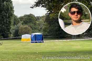 Authorities react to 'shocking', 'rare' Twickenham stabbing