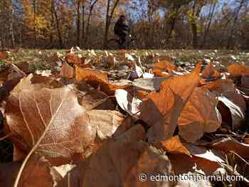 Edmonton weather: Well at least we're not shovelling snow right now