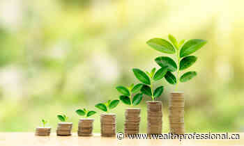 How Mackenzie Investments proved that 'money can grow on trees' - Wealth Professional