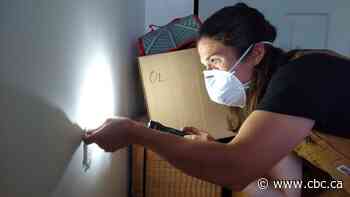 How to get the most out of a home energy audit