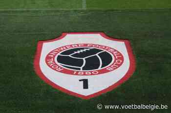 Opsteker voor Antwerp met oog op Zulte Waregem - Voetbalbelgie.be - Voetbal België: Belgisch en internationaal voetbalnieuws, transfers, video, voetbalshop en reportages