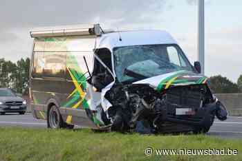 Bestelwagen rijdt in op file, hond raakt gewond