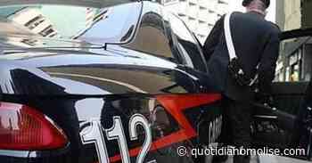 Consumatore incallito di "erba" non sfugge ai Carabinieri - Il Quotidiano del Molse