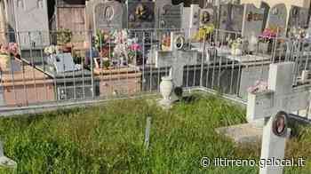 Incuria ed erba alta al cimitero della Badia - Il Tirreno