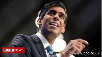 Sunak: Ministers doing all we can to fix supplies for shops