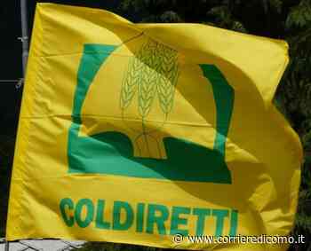 Coldiretti Como e Lecco, così i giovani agricoltori resistono al Covid - Corriere di Como