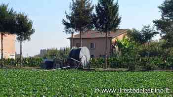 Infortunio mortale a Modena, muore agricoltore - il Resto del Carlino