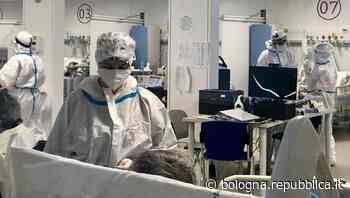 No vax, giornalista della Gazzetta di Modena ritratto con la svastica in fronte - La Repubblica