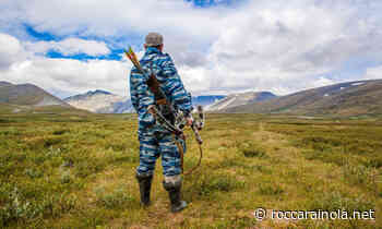 Arco balestra o spada rituale, quando l'arma è antica - Roccarainola.net