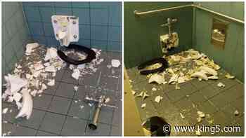 Vandalism at Mount St. Helens recreation site considered a felony - KING5.com