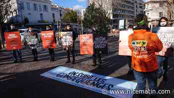 Pourquoi vous verrez des militants L214 devant Burger King ces prochains week-ends