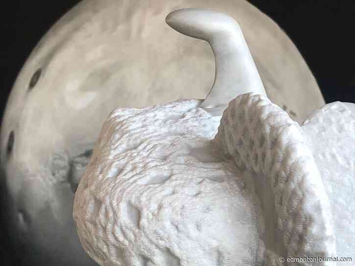 Three to See Saturday: marble art, The Nature of Nicholas and some civic history