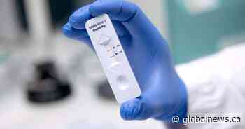 Saskatchewan government to expand delivery of rapid antigen testing kits
