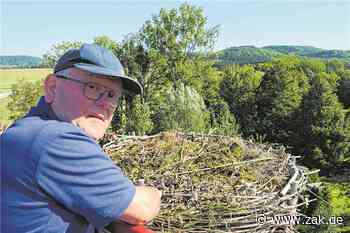 Die Wohnung für Meister Adebar in Boll ist fertig: Jetzt können die Störche kommen - Zollern-Alb-Kurier