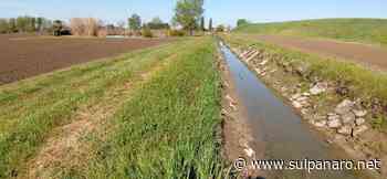 Novi, intervento lungo l'argine del canale di Rovereto-Soliera - SulPanaro