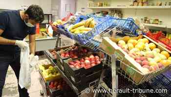 Frontignan : le secours populaire et la Ville se mobilisent - Hérault-Tribune