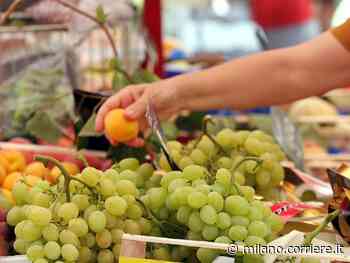 Lecco, «commissariato» il colosso dell'ortofrutta Spreafico. I lavoratori stranieri: «Trattati come animali» - Corriere Milano