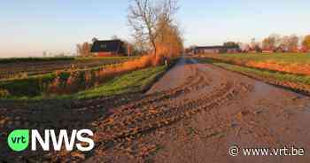 Politie kanton Borgloon waarschuwt voor modder op de weg nu er volop geoogst wordt - VRT NWS