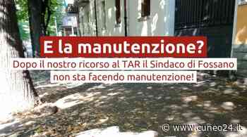 Radicali Cuneo: "Il Comune di Fossano continua a non fare manutenzione sui tigli" - Cuneo24