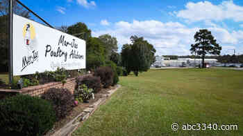 Haleyville couple convicted of funneling undocumented workers to Jasper poultry plant - Alabama's News Leader