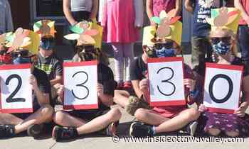 WITH VIDEO: Annual Turkey Trot struts around Smiths Falls with record food haul - Ottawa Valley News