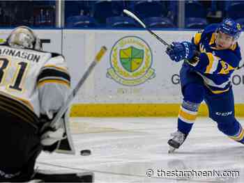 'Inaccurate result': WHL issues apology to Saskatoon Blades after unsuccessful coach's challenge