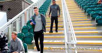 James Bolton and Niall Ennis injury updates from Plymouth Argyle boss Ryan Lowe - Plymouth Live