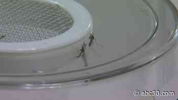 Kings County confirms 1st human West Nile Virus death this year