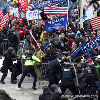 A Capitol rioter admits to new felonies while in court. Prosecutors are loving it.