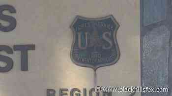 Forest Plan for the Black Hills National Forest is being revised - KEVN Black Hills Fox