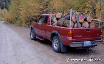 Woodcutting already under way in Okanogan-Wenatchee National Forest - NCWLIFE News