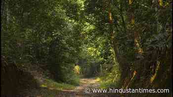 Oil, gas extraction in forest not mining: Wildlife board - Hindustan Times