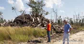 Florida forest landowners still recovering financially from Hurricane Michael - WFSU