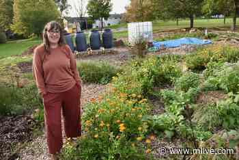 Harvest Festival on tap to celebrate Ann Arbor’s new community food forest - MLive.com