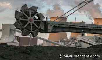 Forest biomass-burning supply chain is producing major carbon emissions: Studies - Mongabay.com