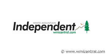 Navajo County struggles to restart forest thinning project - White Mountain Independent