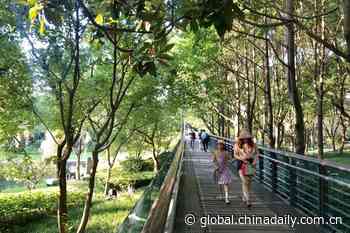 Shanghai to expand greenery with 'forest chief' mechanism - Chinadaily USA