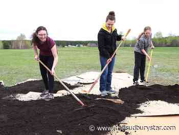 Volunteers wanted for edible forest garden project in Alban - The Sudbury Star