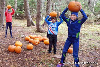 Find a pumpkin in the forest with Nelson Nordic’s Junior Race team - Nelson Star