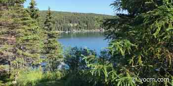 Number of Forest Fires This Season Below 10-Year Average - VOCM