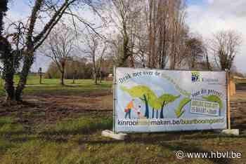 GEMEENTERAAD. Kinrooi gaat meer energie besparen in openbare gebouwen - Het Belang van Limburg